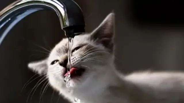 вода