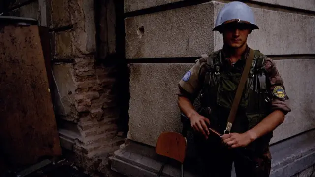 Український миротворець