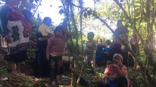 Familias en el bosque. (Foto: Marcelo Pérez Pérez)