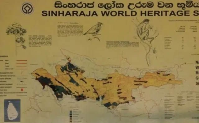 සිංහරාජය