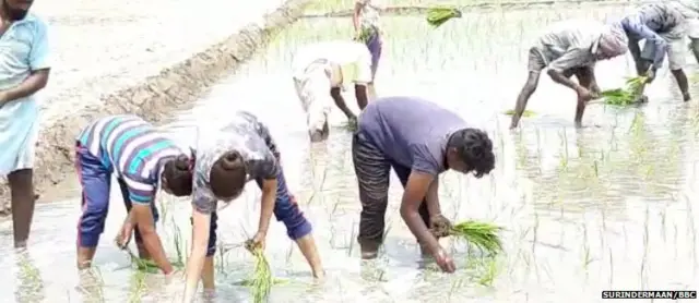 ਅਰਸ਼ਪ੍ਰੀਤ ਕੌਰ