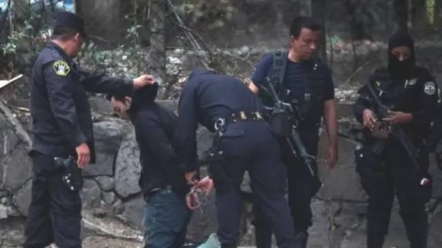 दरियाई घोड़े के क़त्ल की जांच