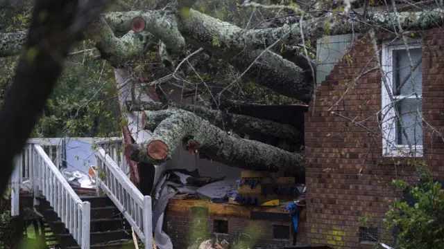 Un árbol sobre una vivienda en Wilmington, Carolina del Norte.