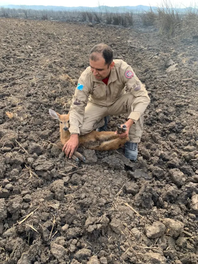 Bombeiro segura filhoteslot kongcervo