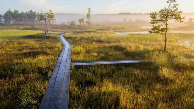 ఎస్టోనియా