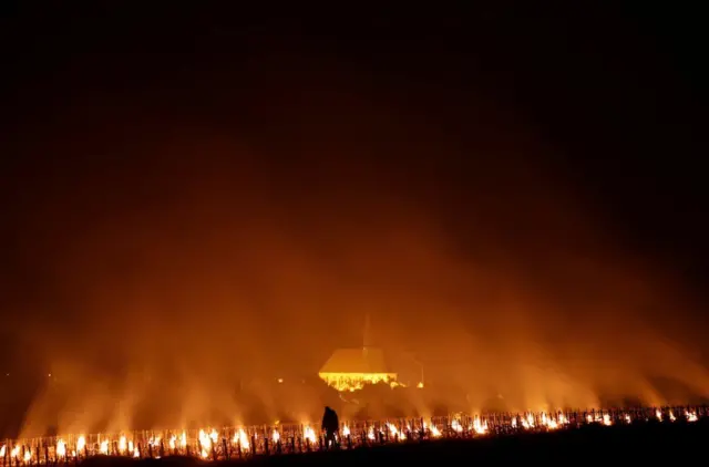 مواقد مشتعلة في حقول الكروم