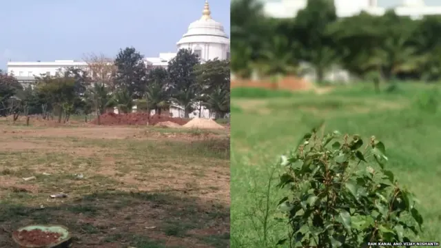 ਦਰਖ਼ਤਾਂ ਦਾ ਟਰਾਂਸਪਲਾਂਟ