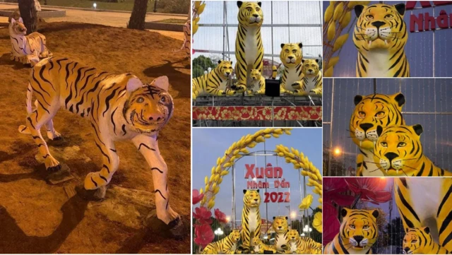 Hổ