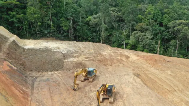 Deforestation in Indonesia
