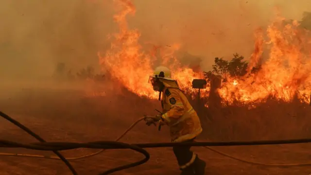 Pemadam kebakaran bergelut dengan api di Hillside, New South Wales., 13 November 2019