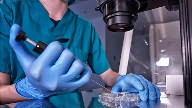 सांकेतिक तस्वीर