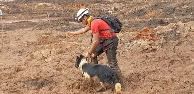 Imagem mostra bombeiro e cão farejador durante busca às vítimas7games jogos com apkrompimento7games jogos com apkbarragem7games jogos com apkBrumadinho (MG)