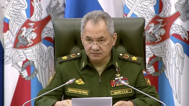 shoigu
