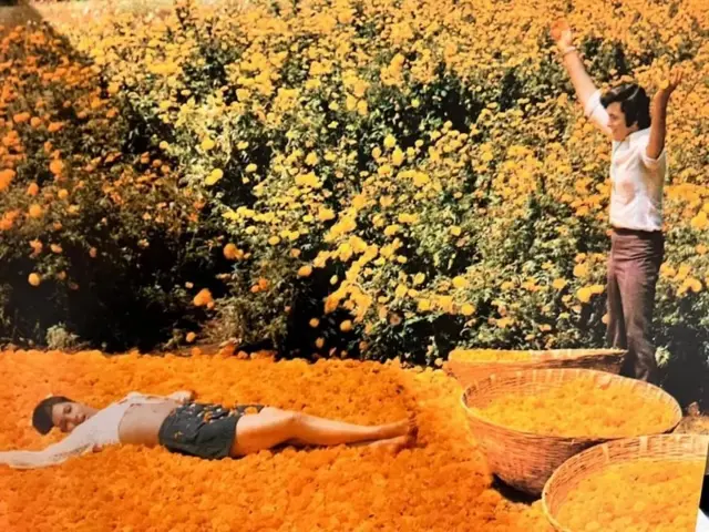 بابی فلم کا ایک منظر