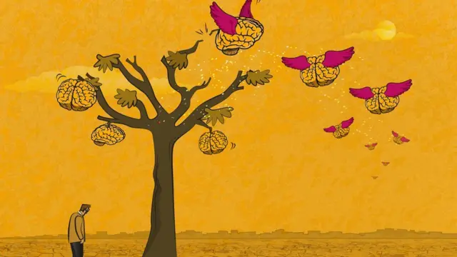 Иллюстрация - утечка мозгов