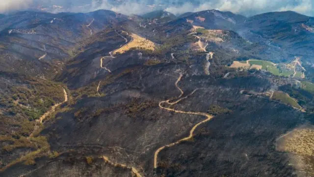 yangından etkilenen bölge