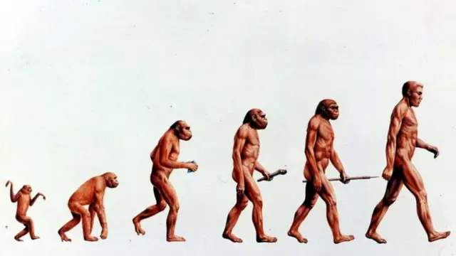 Кеуде өлшемі B-кесе бар порно жұлдыздар