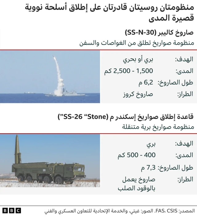 منظومة اسكندر وصاروخ كاليبر