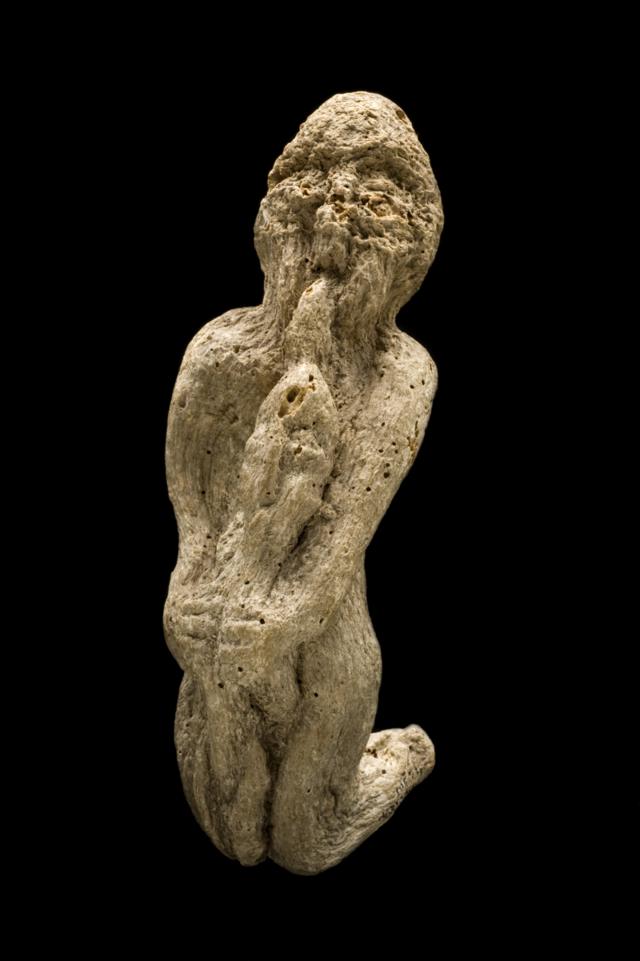 Raizcomo fazer aposta pelo site da caixamandrágora