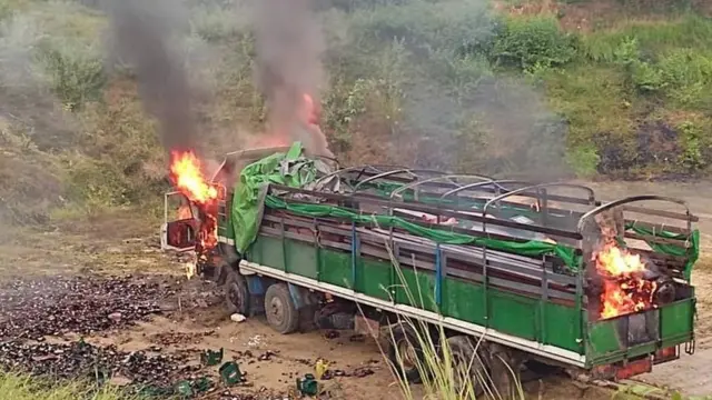 ကောလင်း တရားမဝင်သစ်