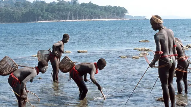 আন্দামানের এই জারোয়া নৃগোষ্ঠীকে নিয়েই লেখা হয়েছির সবুজ দ্বীপের রাজা