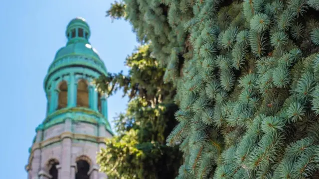 由於羅伊釀的雲杉啤酒保質期很短，所以只能在蒙特利爾品嚐