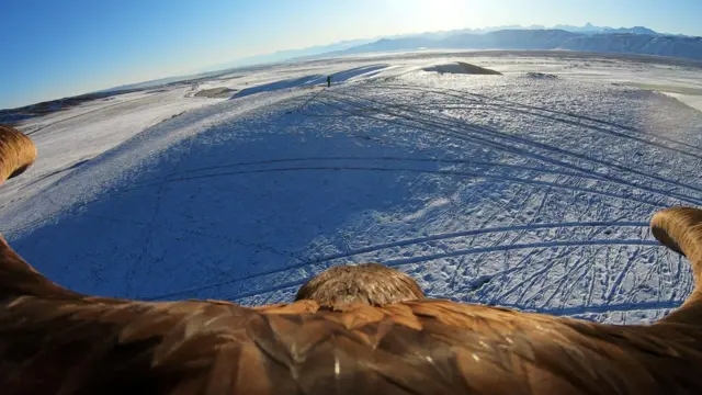 카자흐스탄 알마티의 한 마을에서 열린 전통 사냥 대회에서 길들여진 황금독수리에 장착한 카메라로 찍은 영상
