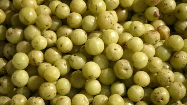 Gooseberry