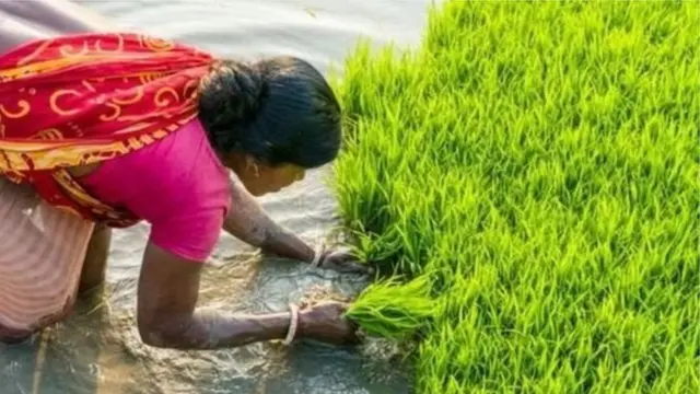 మాంద్యమా, మందగమనమా