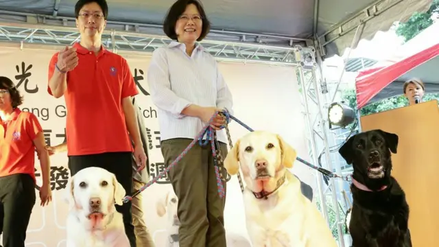 台灣總統蔡英文收養了三頭退役導盲犬