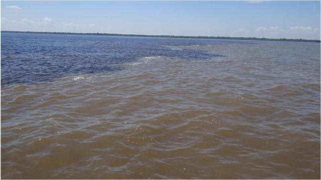Encontro da águas dos Rios Negros e Solimões, no Parque Ecológico Janauari, Manaus-Am