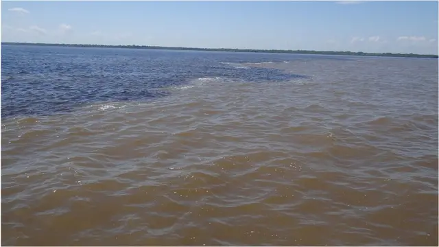 Encontro da águas dos Rios Negros e Solimões, no Parque Ecológico Janauari, Manaus-Am