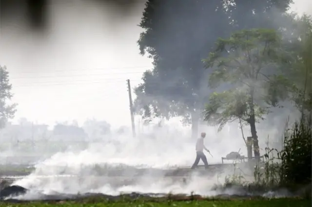 An Indian villager walks amidst smoke that rises from paddy stubble burning in a nearby field at a village on the outskirts of Amritsar, India, 09 October 2018.