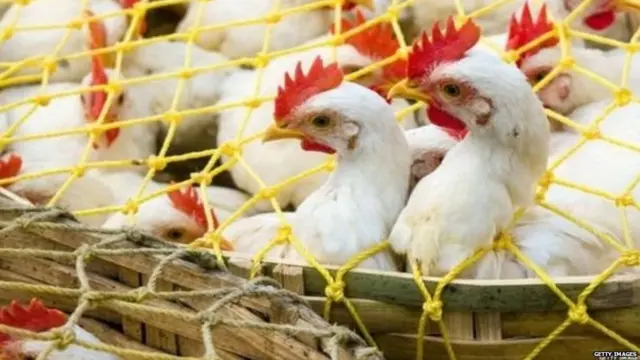 ਕੋਰੋਨਾਵਾਇਰਸ