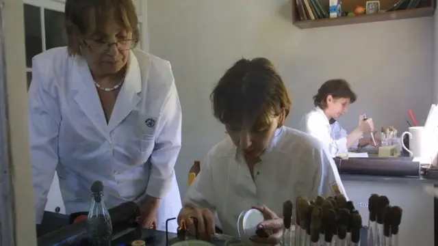 Investigadoras mujeres en un laboratorio.
