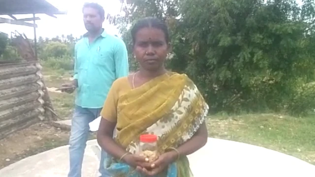 பாப்பாள்