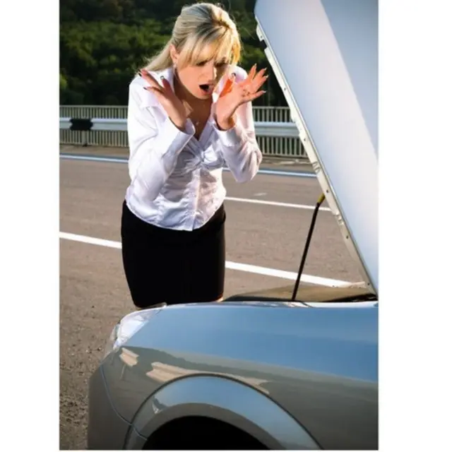 કારચાલક મહિલાનો ફોટોગ્રાફ