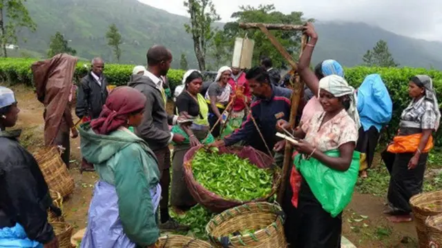 රුපියල් දහසක වැටුප් වැඩි කිරීමක් වෘත්තීය සමිති ඉල්ලා සිටියත්