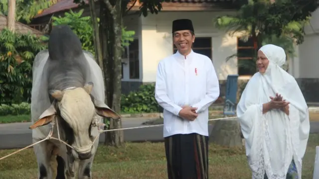 Presiden Joko Widodo dan Ibu Negara Iriana Widodo berdiri di sebelah sapi kurban.
