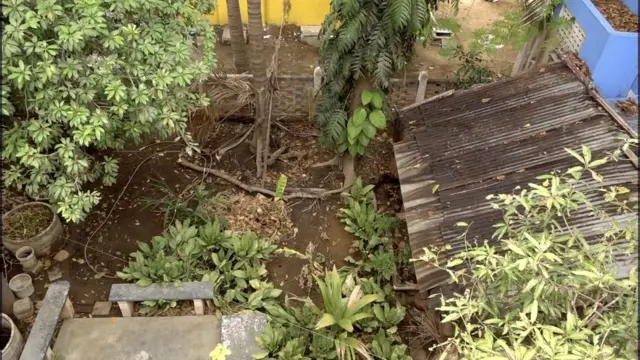 રેઇન વોટર હાર્વેસ્ટિંગ