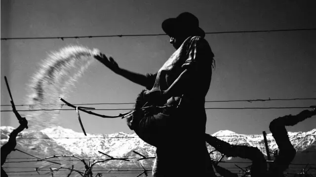 Fertilizando la tierra