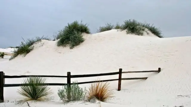 سياج حوله كثبان رملية