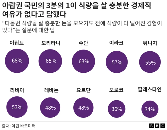 아랍권 국민의 3분의 1이 식량을 살 충분한 경제적 여유가 없다고 밝혔다