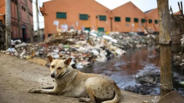 বর্জ্য পরিষ্কারে ঢাকার দুই সিটি কর্পোরেশন ব্যাপক প্রস্তুতি নিয়েছে।