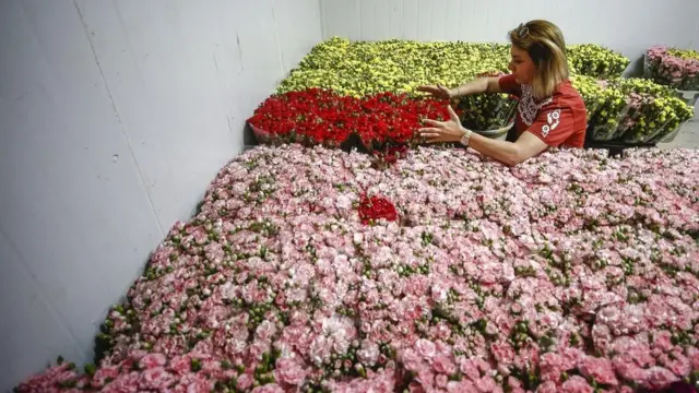 ما سبب ارتفاع أسعار الزهور؟