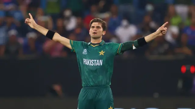 মোট ৩৬টি আন্তর্জাতিক ম্যাচে ৭৮টি উইকেট নিয়েছেন শাহীন শাহ আফ্রিদি।