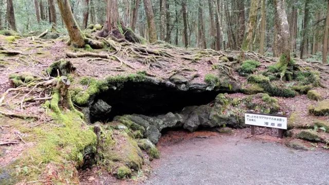 Cave at Aokigahara Forest
