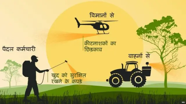 टिड्डियों का हमला