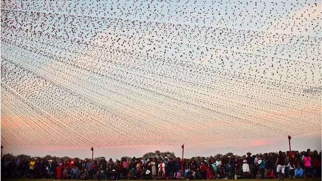 вечеринка Руби Ибарра