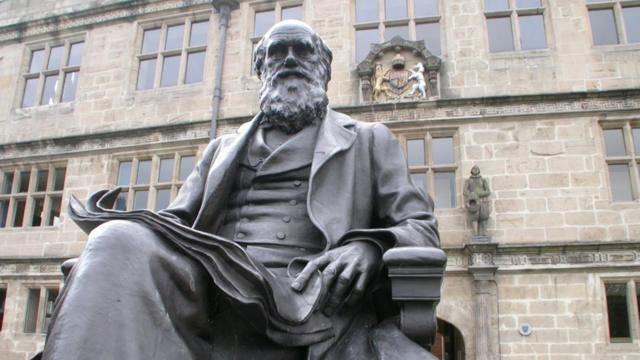 estátua de Charles Darwin